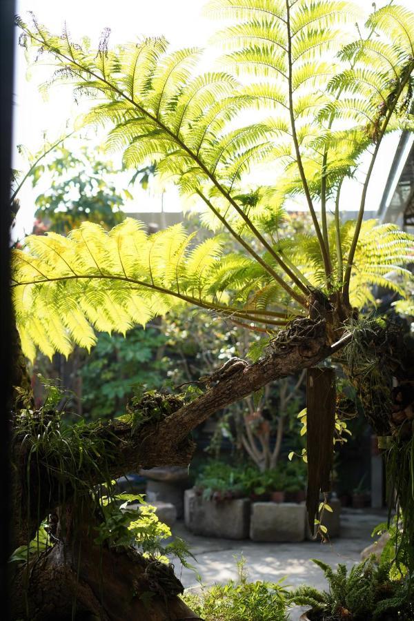 蘊慢築 茶花藝主題民宿 Yun Man Zhu Homestay Gongguan Exteriér fotografie