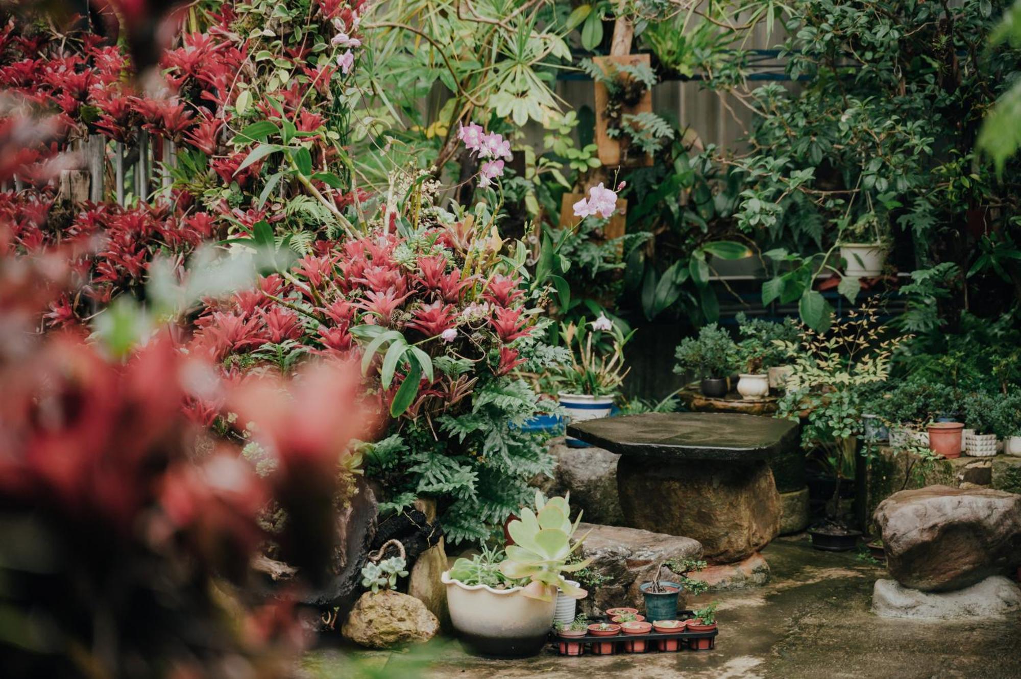 蘊慢築 茶花藝主題民宿 Yun Man Zhu Homestay Gongguan Exteriér fotografie